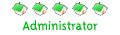 Rangurile noi Rangurile noi