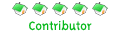 Rangurile noi Rangurile noi